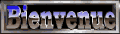 bienvenue.gif (8488 octets)